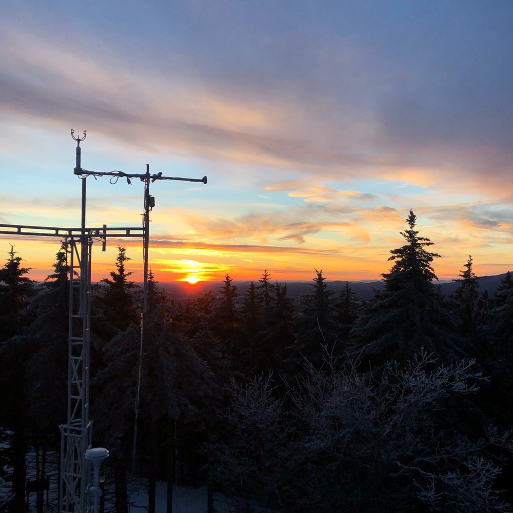 Meet your Posher, Peyton